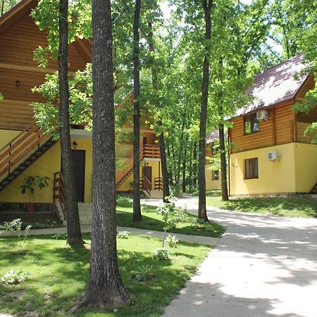 Вилия Lomachintsy Экстерьер фото