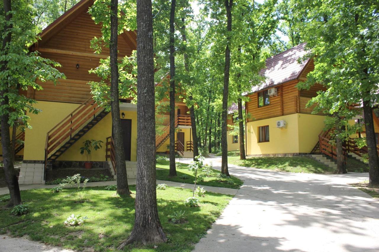 Вилия Lomachintsy Экстерьер фото